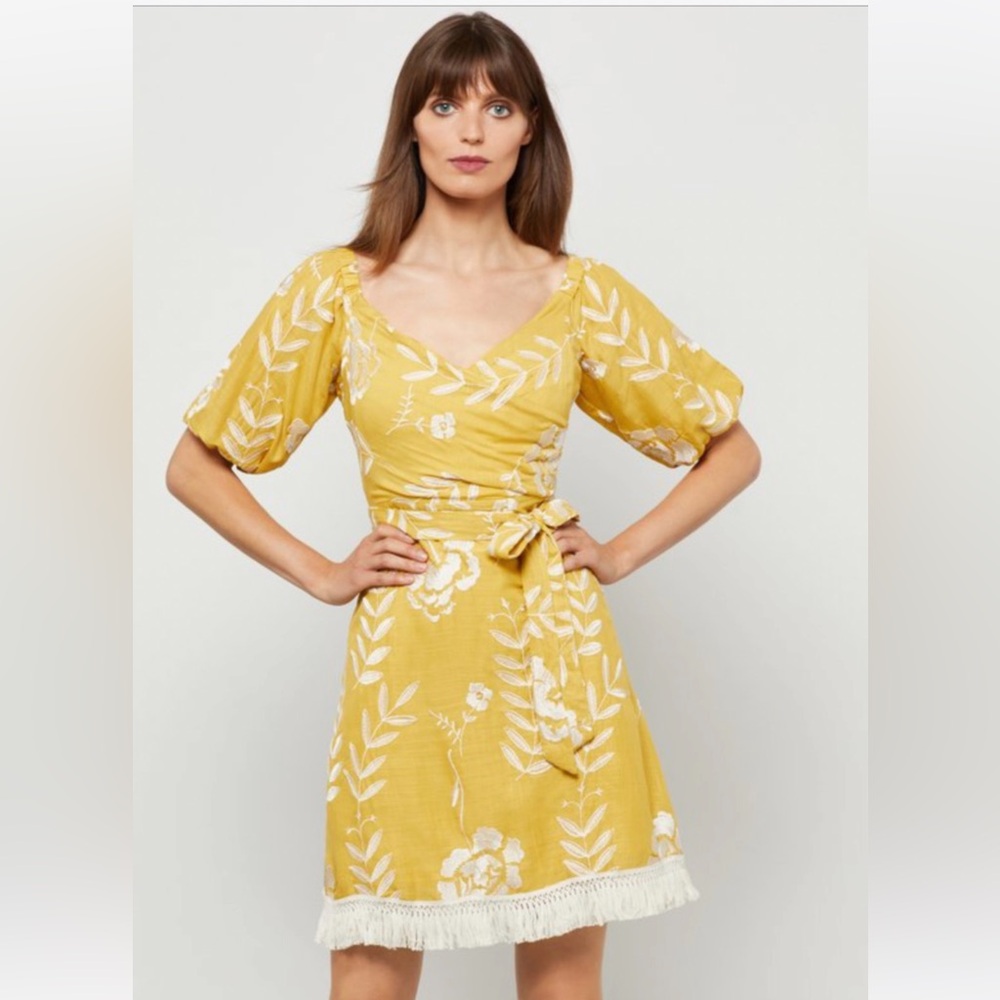 Bcbg linen embroidered dress